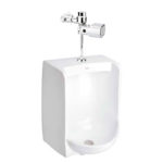 Paquete Mingitorio Ferry + Fluxómetro de Baterías FERRY FB-1