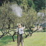 Fumigador Manual de Mochila 18 Litros  40 PSI Uso Frecuente Stihl SG 20 - Imagen 7