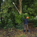 Podadora de Altura a Batería 36V Espada de 30 cm Stihl HTA 86 - Imagen 7