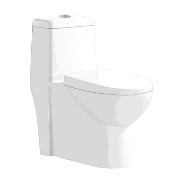WC One Piece Elongado Eros Blanco Foncer