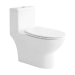 WC One Piece Alargado Blanco Eco Celite Roca 65ECO