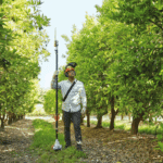 Podadora de Altura a Gasolina 25.4CC 1.3 HP Espada de 12" Stihl HT 75 - Imagen 4