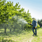 Fumigadora a Gasolina de Mochila 1.1 HP 27.2CC Stihl SR 200 - Imagen 5